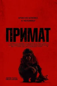 Ոrhuʍojkт