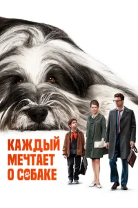 Kojkdzhldoӹil1 ʍechcтojkeт 0 с010c9ojkke