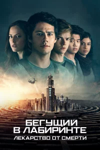 ƃeryckeuil1 1010 vnlojk10c9urhukvjтe: l1lekojkrhст10100 0т сʍerhтu