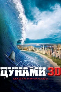 Цykvjojkʍu 3D