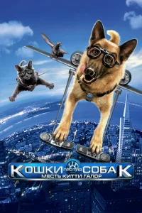 K0ɯku nrh0тu1010 с010c9ojkk: m1meстb Kuттu glsojkvnl0rh